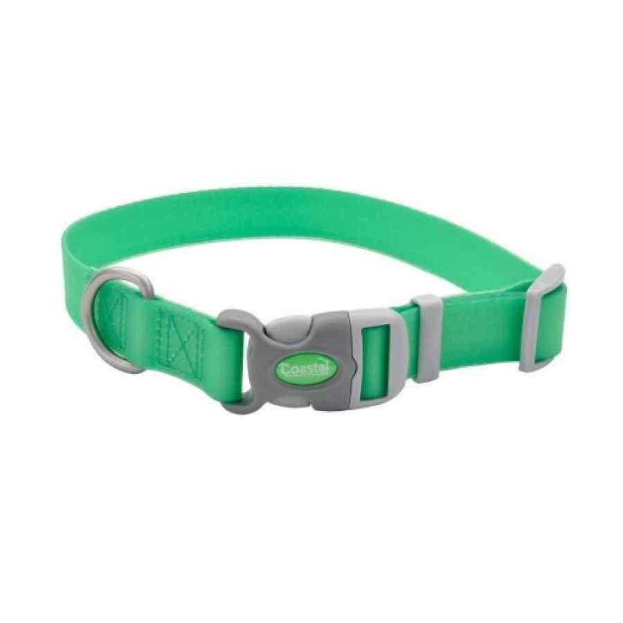 Pro Adjustable Waterproof Collar, Lime, Small 3/4" x 10" 14"