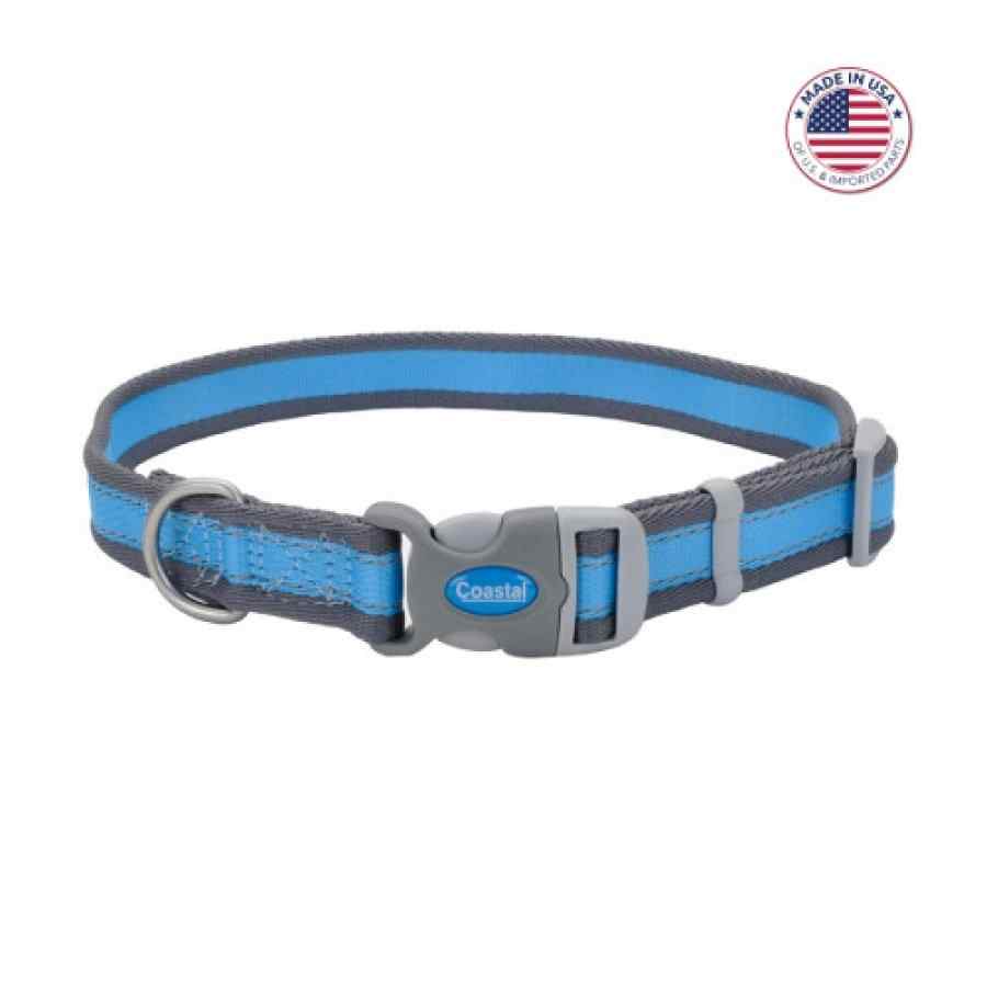 Coastal Pro Reflective Adjustable Dog Collar, Bright Blue With Grey, Large 1" X 18" 26"