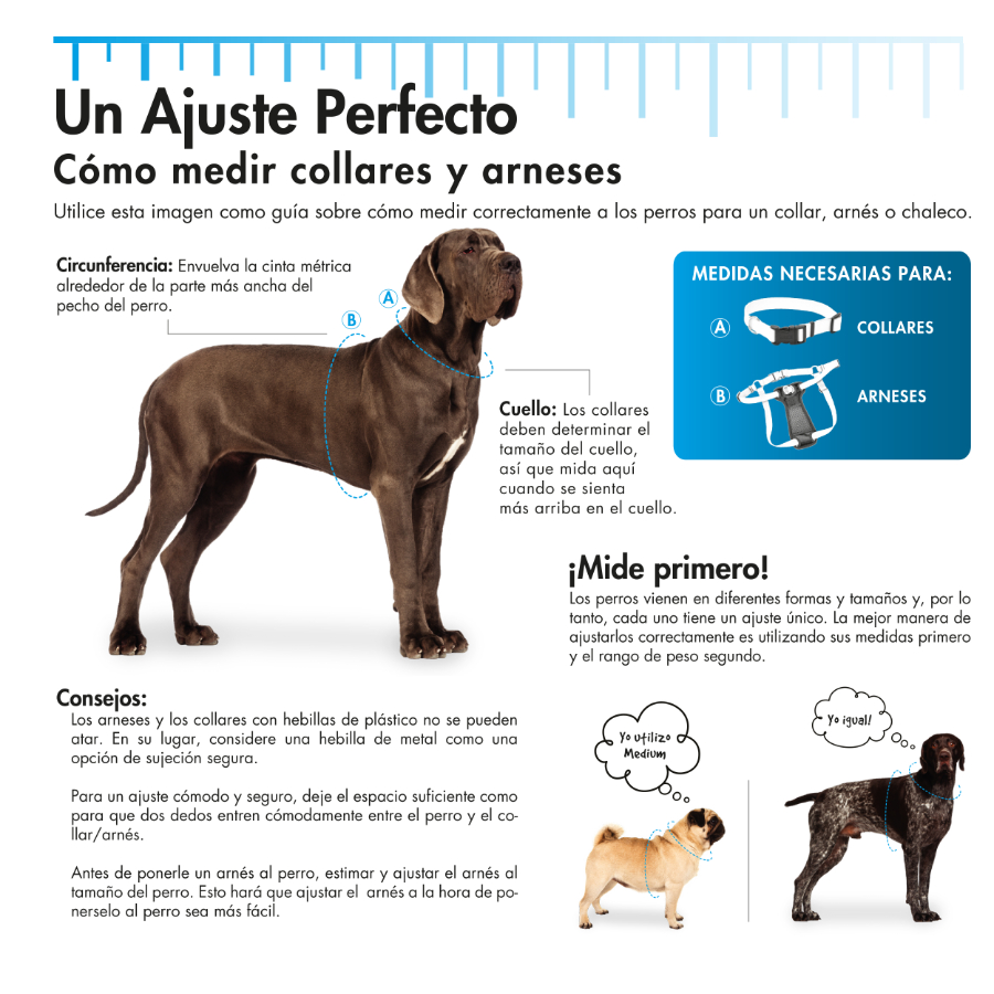 Pro Adjustable Waterproof Collar, Aqua, Small 3/4" X 10" 14", , large image number null